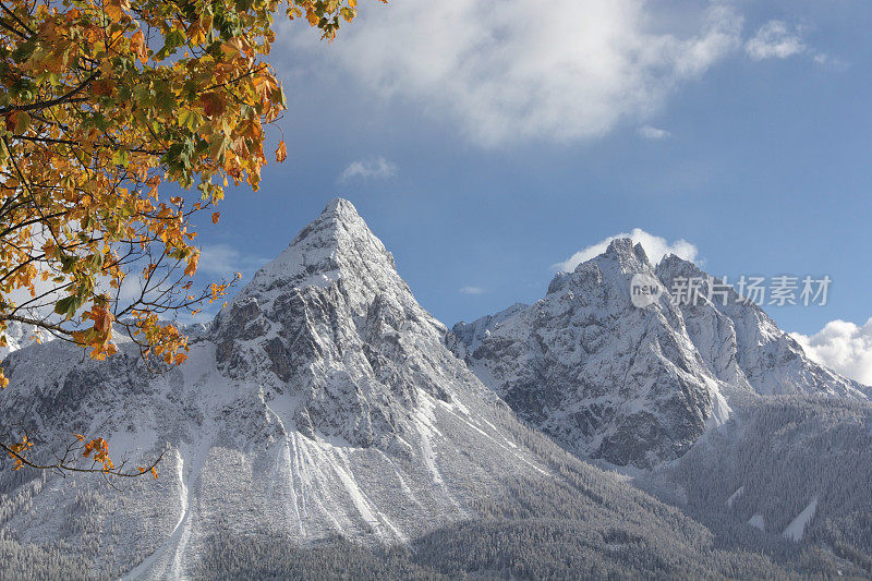 阿尔卑斯山