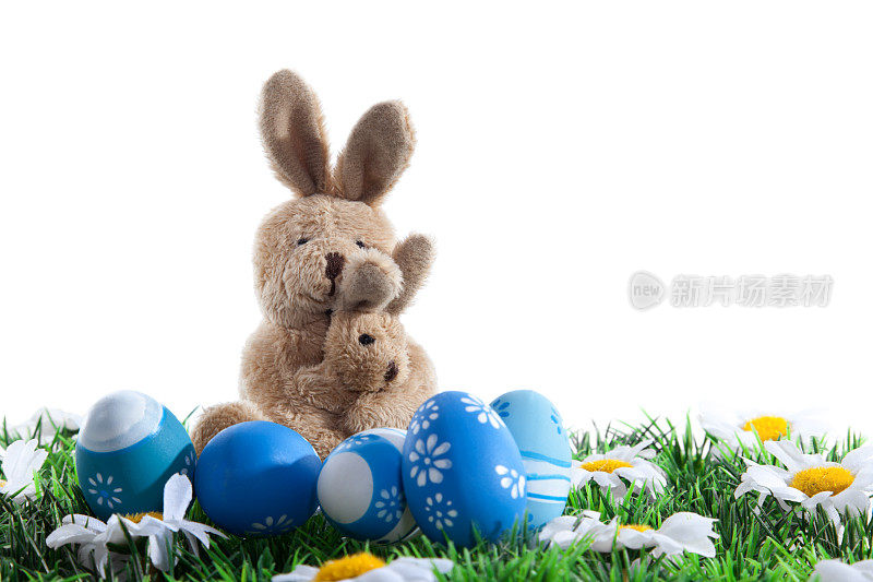 复活节兔子和蛋在草地上