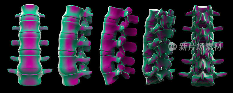 脊柱结构的3d渲染在黑色的背景
