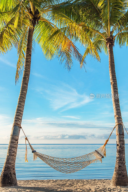 日出海滩棕榈树下的吊床