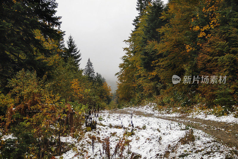 秋色山水在山中