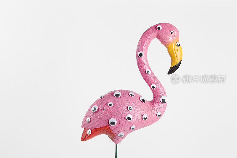 粉红色的塑料火烈鸟