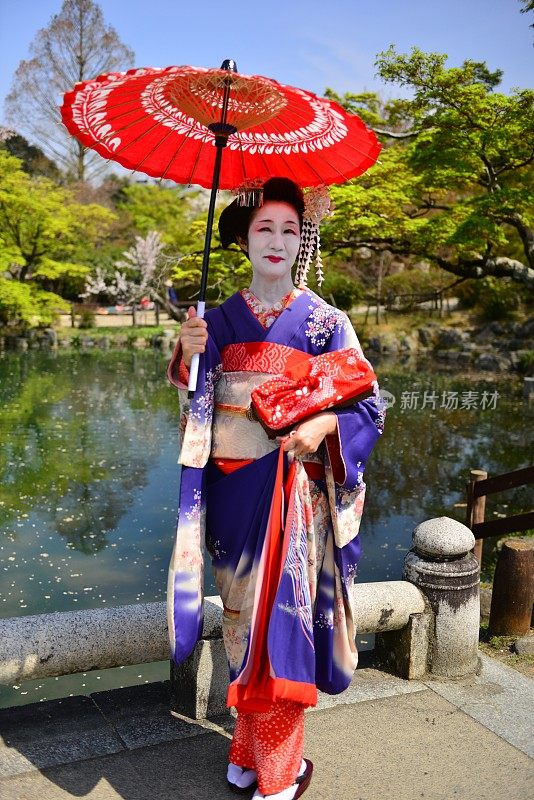 日本妇女在京都的春天享受舞子体验