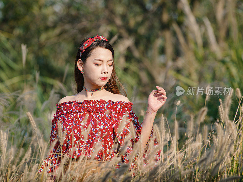 一个美丽的中国女孩的肖像站在黄色的芦苇田在阳光明媚的秋日。