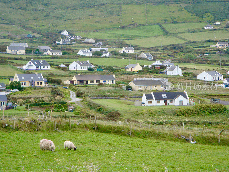 有房子和牲畜的爱尔兰乡村景色