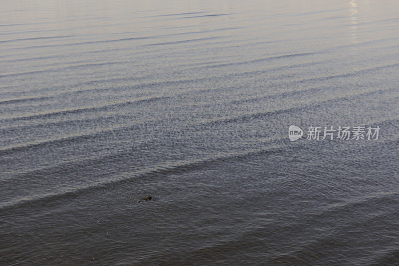 浅海的水面纹理背景