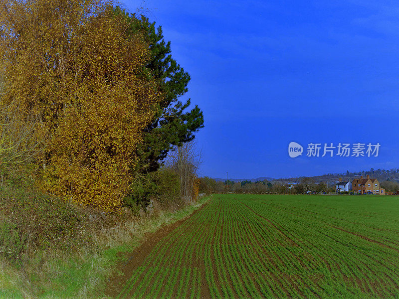 从小路上望去，穿过典型的英国乡村风景——绿树成荫的田园风光——在阳光明媚的日子里徒步行走风景郁郁葱葱