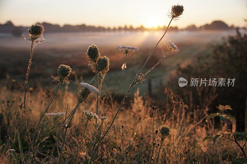 新的一天的开始