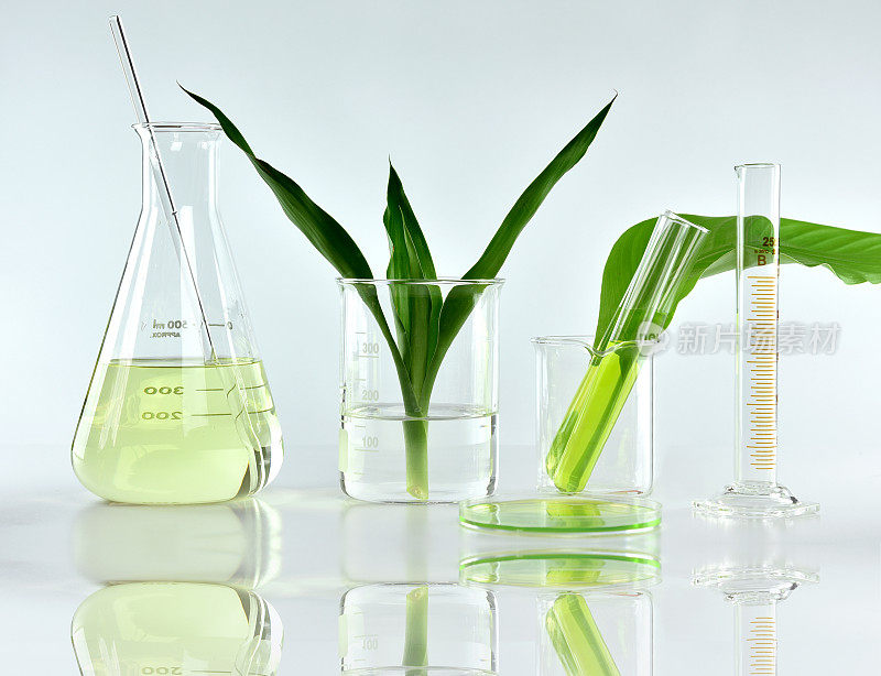 天然有机植物和科学玻璃器皿，替代草药，天然护肤美容产品，研发理念。