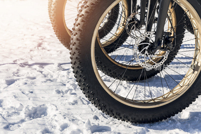 雪地里肥自行车轮胎的特写