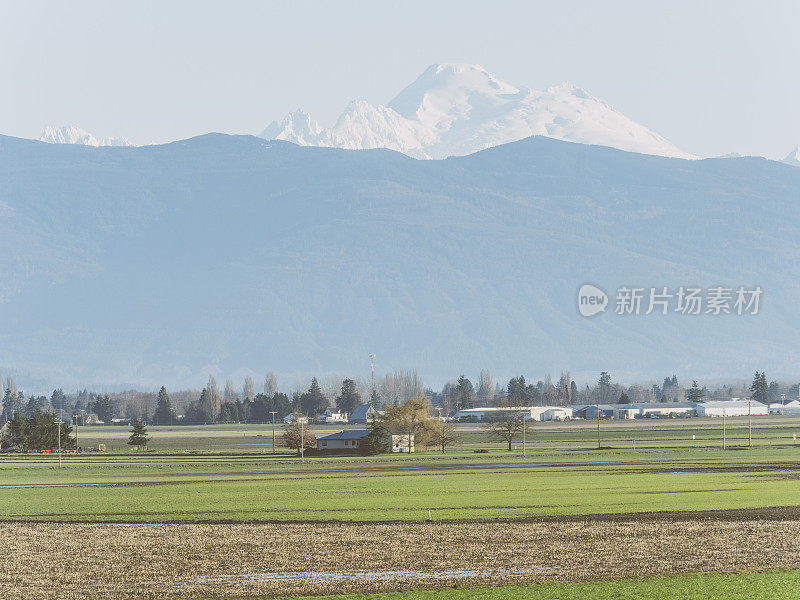 华盛顿贝尔维尤贝克山的乡村景观