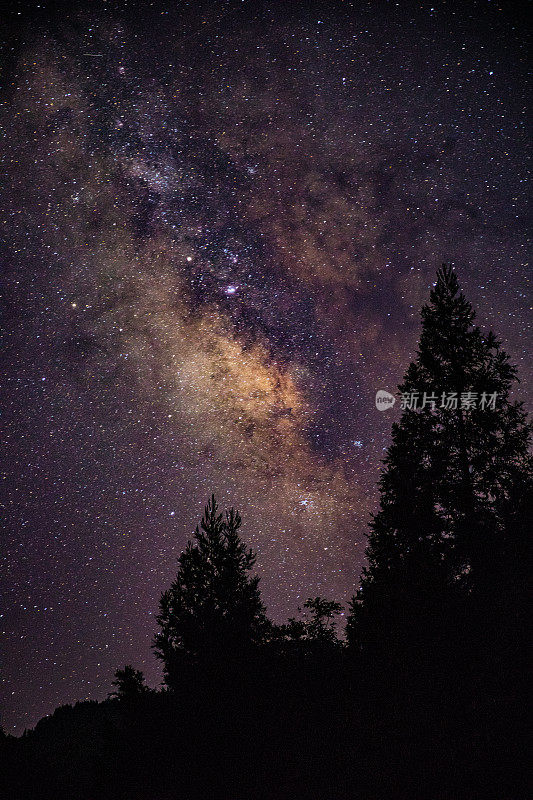 银河与树在山区森林