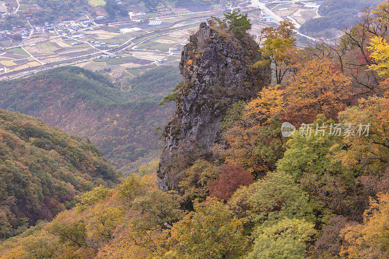 VH511秋天的风景