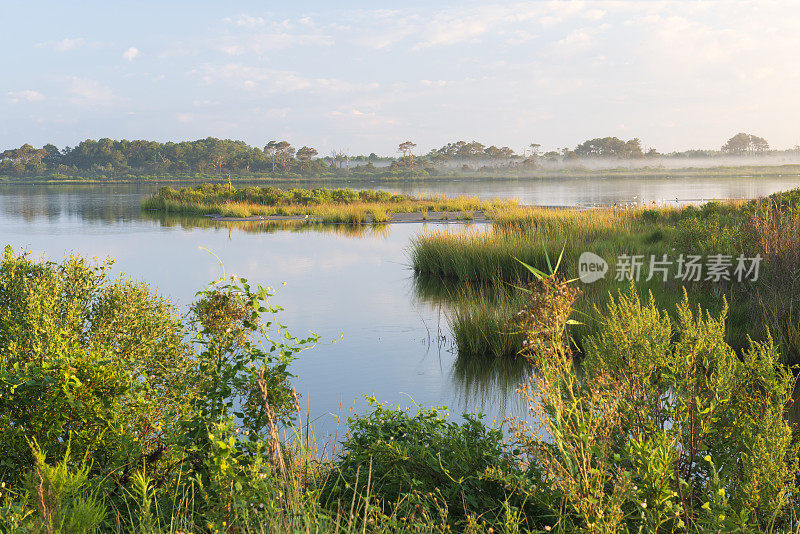 钦科特格岛湿地