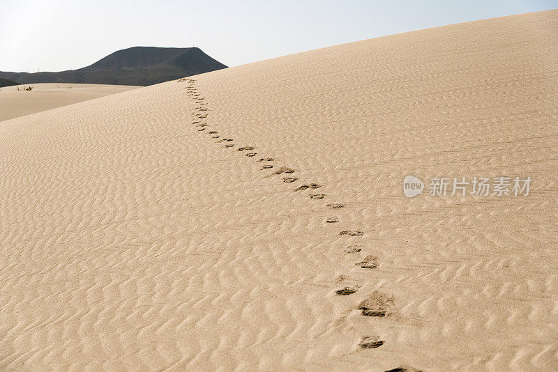 沙尘中的脚步声和波浪——沙漠中的沙丘