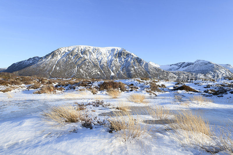 罗弗敦的Austvagoya岛冬天的雪景