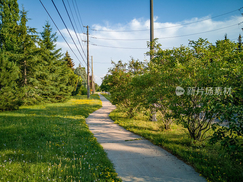 加拿大安大略省伍德布里奇镇的街景