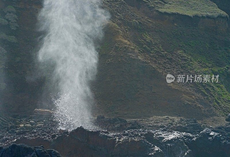 俄勒冈州海岸气孔