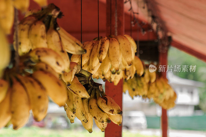 市场摊位上挂着香蕉