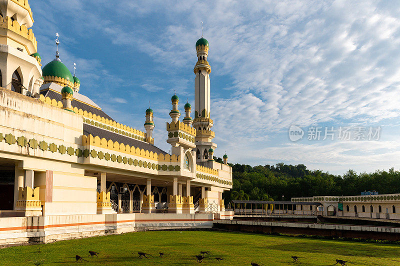 文莱达鲁萨兰国的Al-Muhtadee清真寺