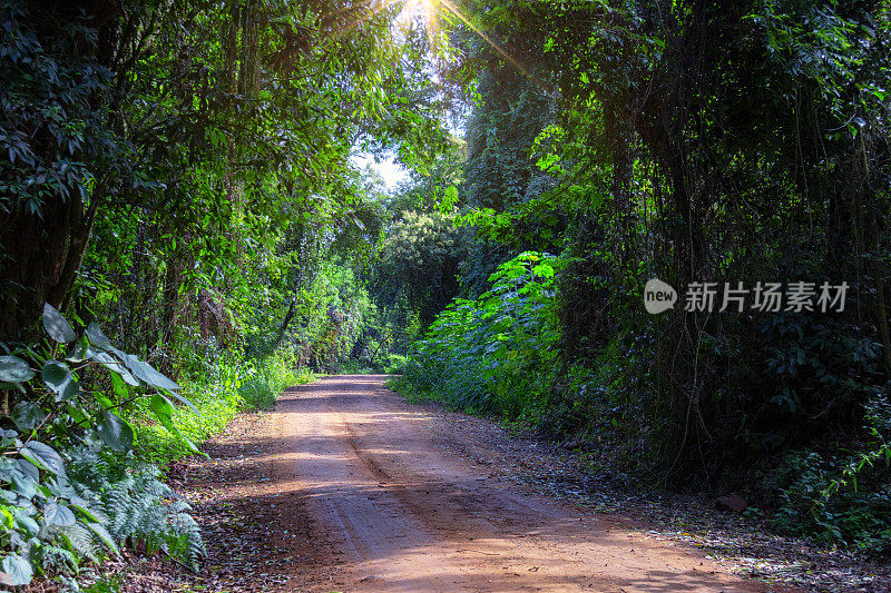 巴西内陆的公路。