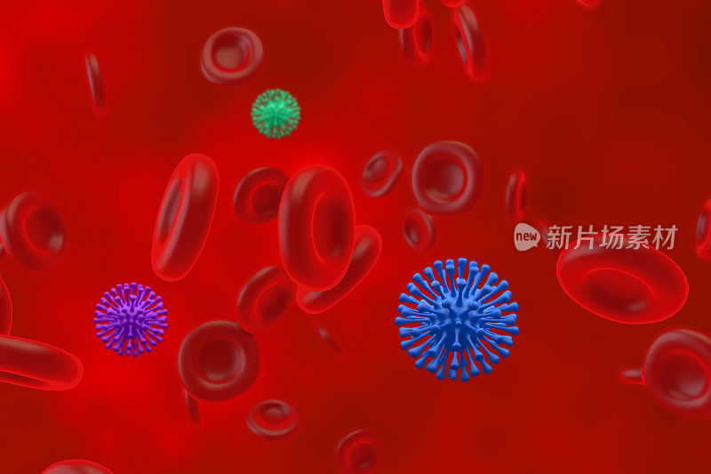 血细胞和细菌