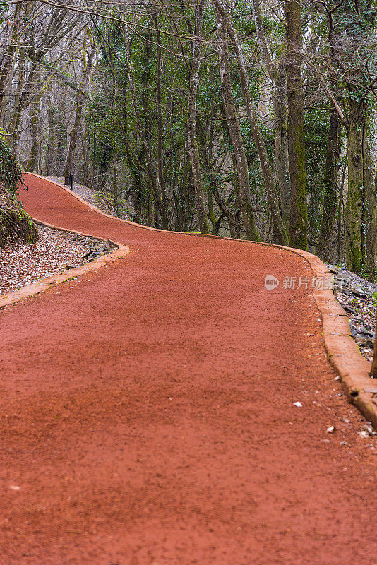 森林里的跑道