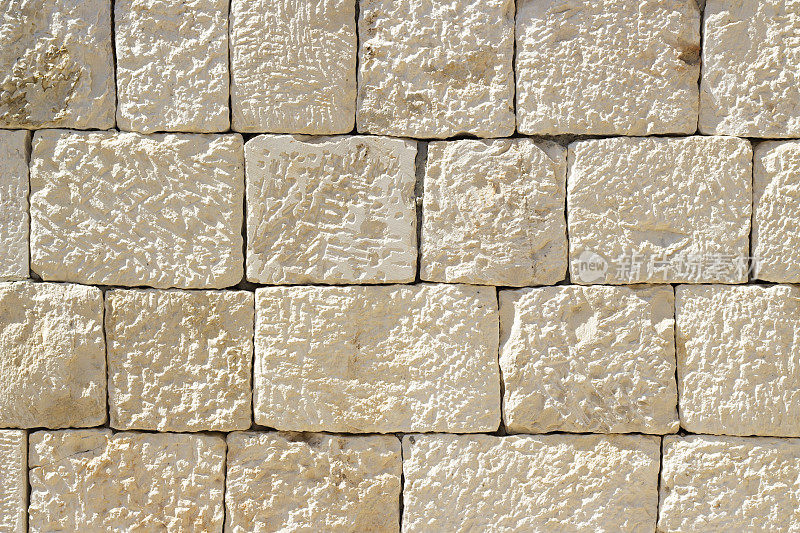 阳光下的coquina(石灰石)瓷砖的纹理。