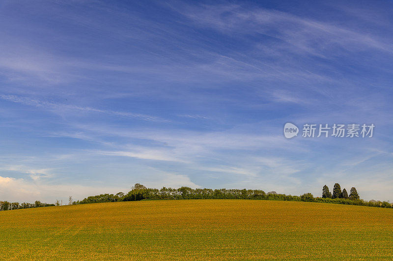 农业景观红色肥沃的土地土壤泥土农场耕地