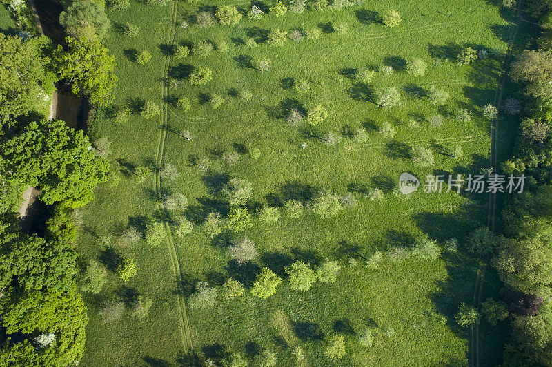 春季鸟瞰图果树种植园