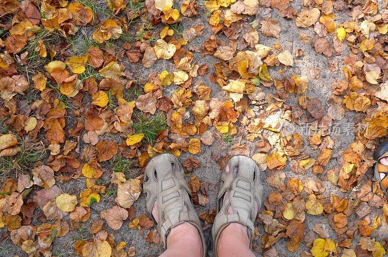 男人脚上穿着凉鞋，走在铺满落叶的小路上