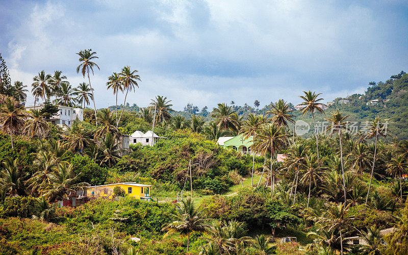 加勒比风景-巴巴多斯