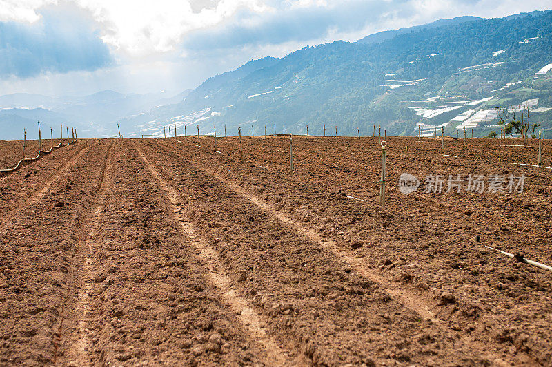 新翻耕面积和准备种植。农场里的泥土