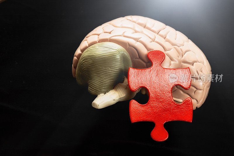 理解人类思维:用大脑模型拼成的拼图象征着医学和心理问题的解决