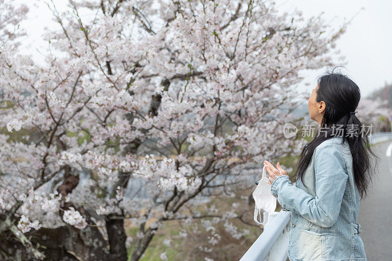 日本女子欣赏樱花