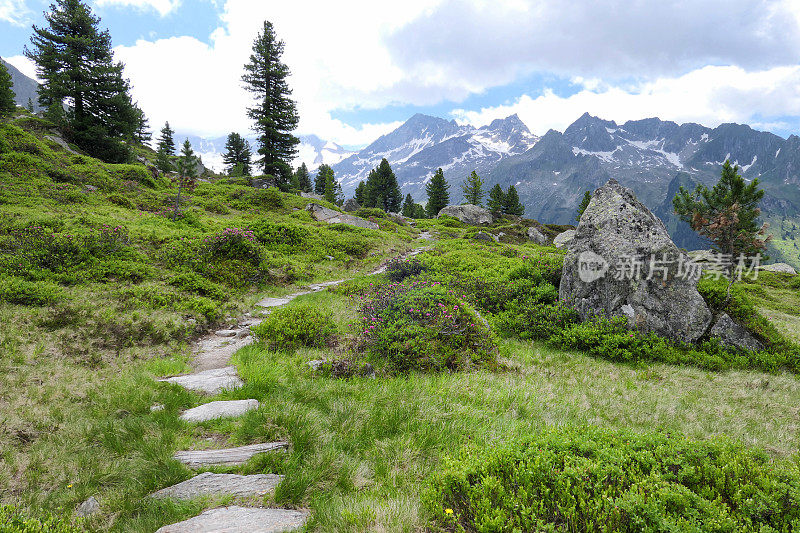 在泰洛尔格洛斯附近的奥地利阿尔卑斯山的陶恩山徒步旅行。