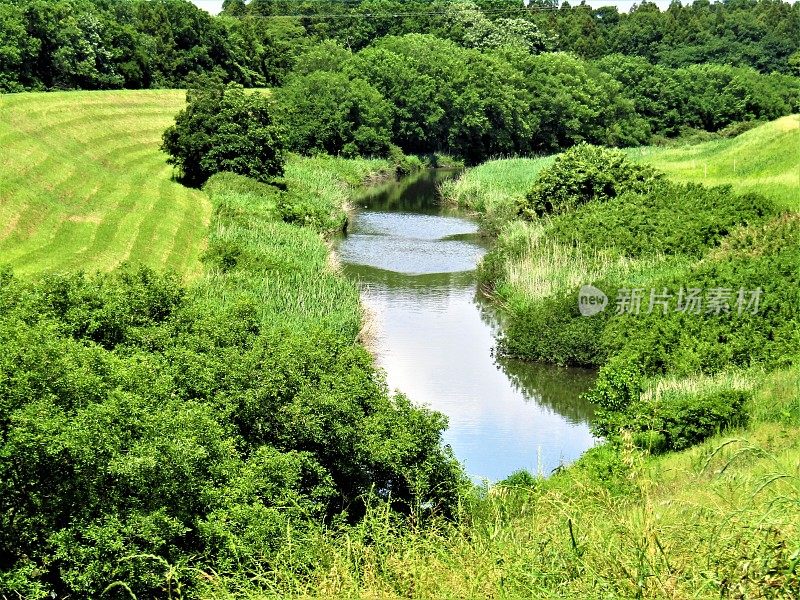 日本。五月大会以运河。绿色背景。