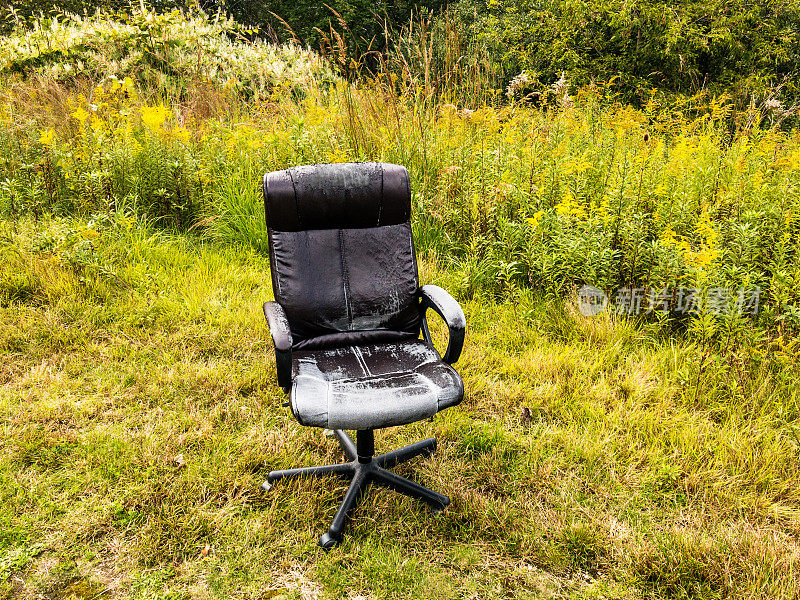 荒废的黑色办公椅被遗弃在草地上