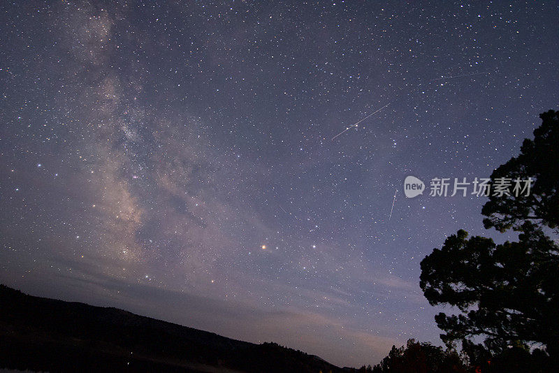 银河流星英仙座流星雨树剪影