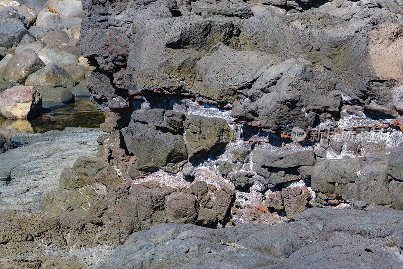 留尼汪岛，潮间带的火山池塘沿岸岩石