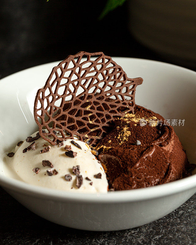 巧克力和香草冰淇淋装在盘子里，配上巧克力饼干