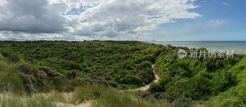 全景沙丘景观在北海与绿色植被，布雷沙丘，法国