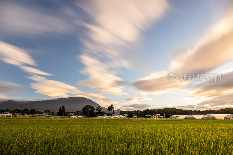 清晨稻田和岩手山上空模糊的云朵