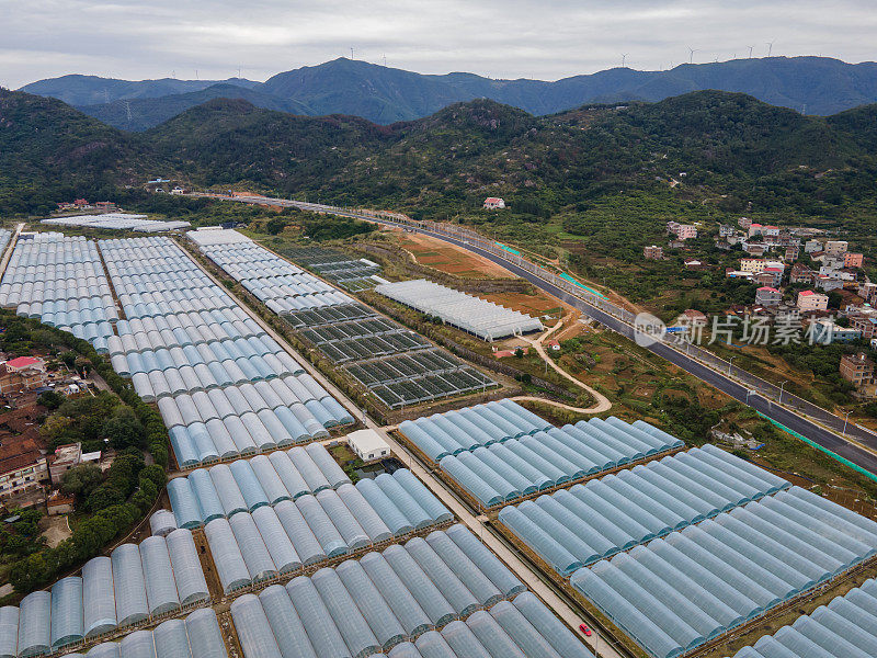 有机农业蔬菜温室和交通道路鸟瞰图