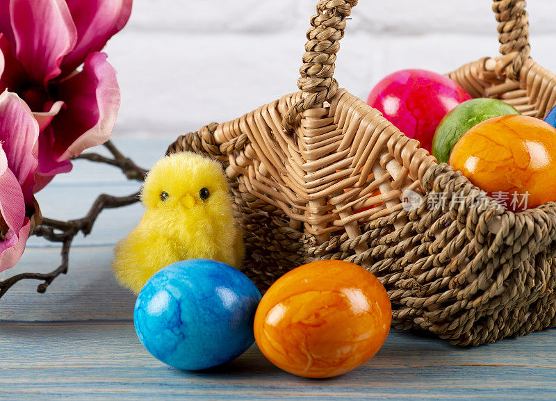 复活节。篮子里有彩绘的复活节彩蛋、玉兰花和鸡
