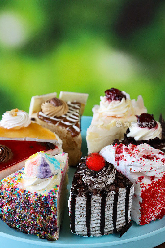 粉彩蓝色盘子上各种蛋糕切片的图像，天使食物蛋糕，巧克力和樱桃蛋糕，黑森林蛋糕，红丝绒蛋糕，彩虹蛋糕，咖啡和大理石纹巧克力蛋糕，咸焦糖蛋糕，模糊的绿色背景，重点在前景