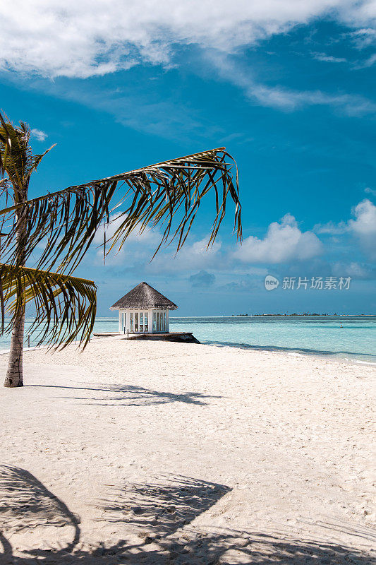 热带户外酒吧餐厅小屋在海边的泻湖海滩上，有棕榈树