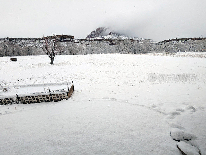 在犹他州洛克维尔的格拉夫顿路上，冬天的花园盒子和被雪覆盖的牧场，背景是锡安国家公园