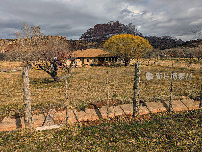 在犹他州洛克维尔的岩石花园，以锡安国家公园为背景的牧场上，柳树上的新芽正在绽放