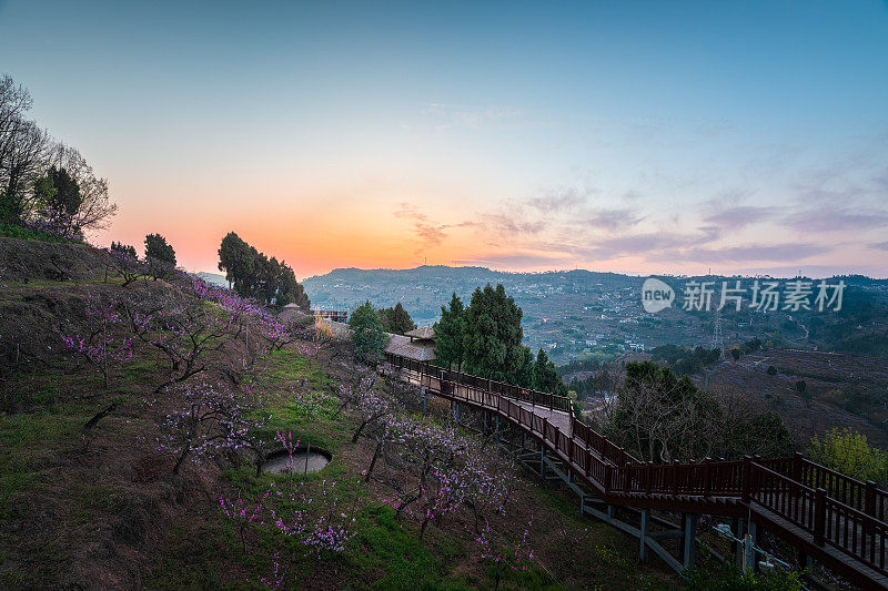 日出山